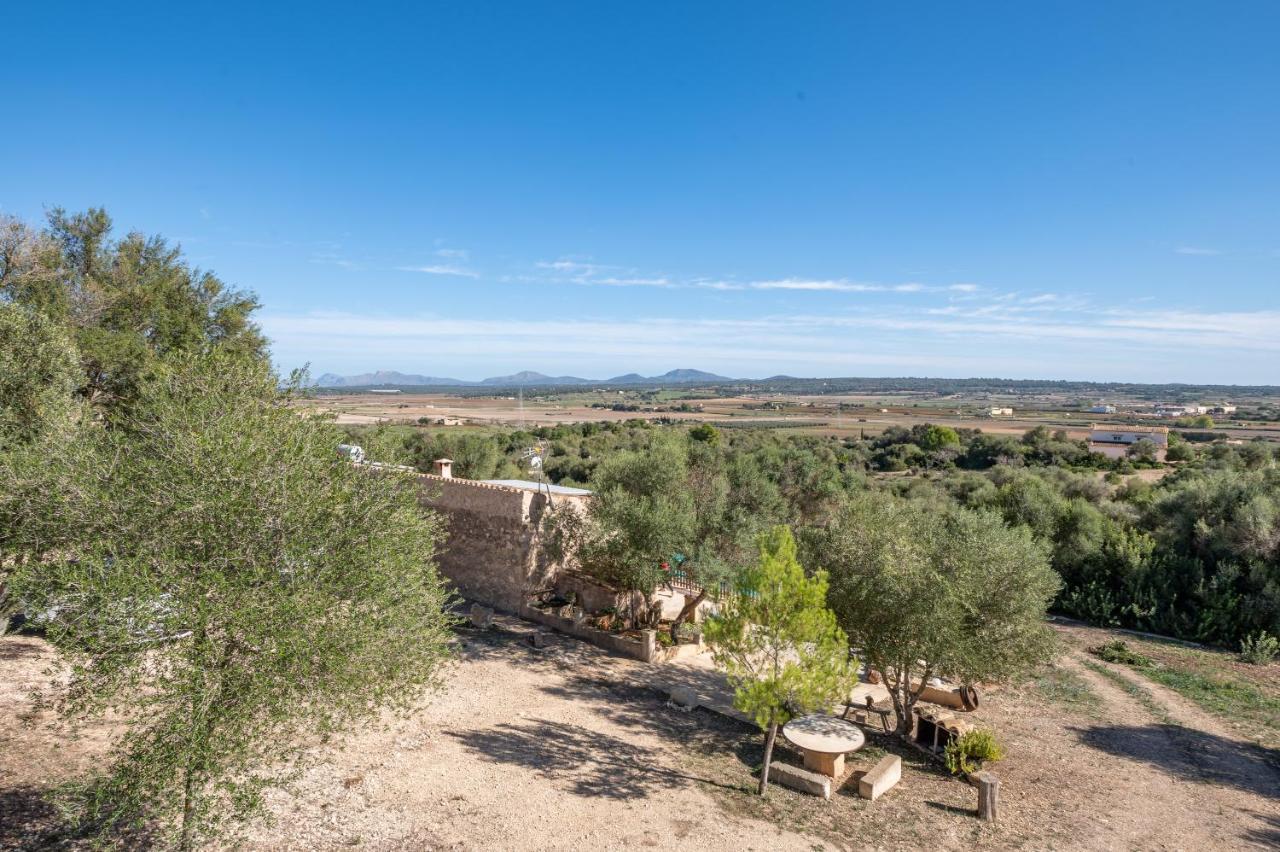 Villa Son Pusseta Petra  Exterior foto